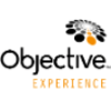 Objective Experience