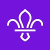 The Scouts