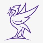 Liverpool City Council