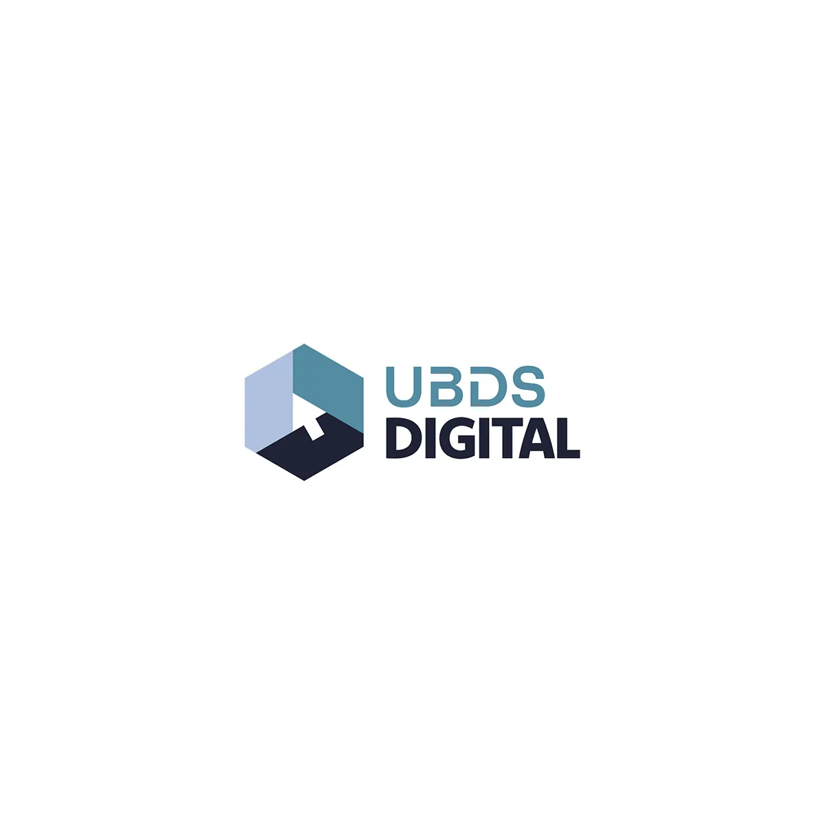 UBDS Digital
